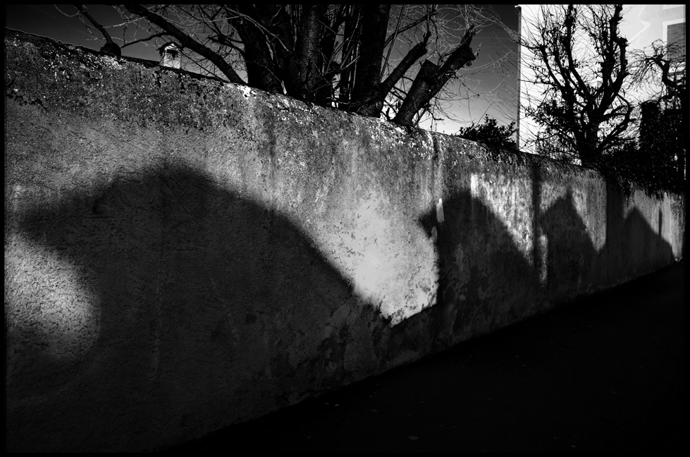 ombres